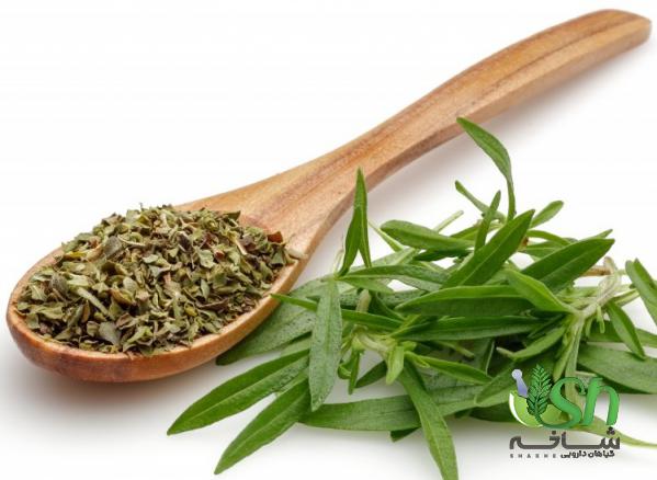 پخش آویشن کوهی با بالاترین کیفیت