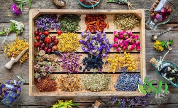 بررسی مشکلات تجارت گیاهان دارویی در بازار جهانی