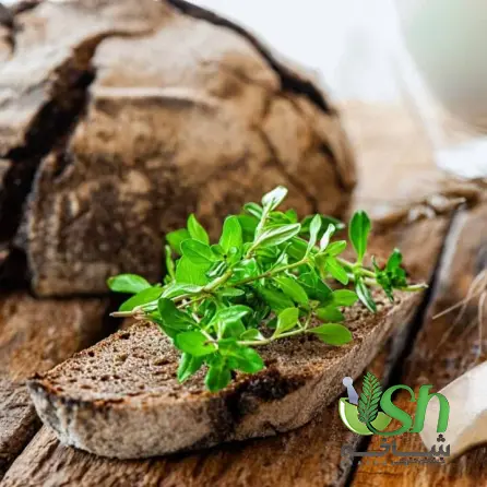 خریدار آویشن کوهی عمده با قیمت ویژه