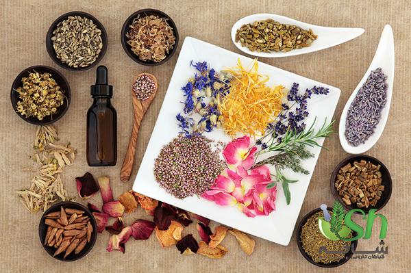 آنچه باید در خصوص گیاهان دارویی بدانیم