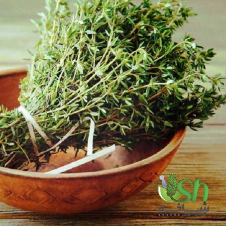 عامل اصلی تاثیر گذار بر قیمت آویشن کوهی