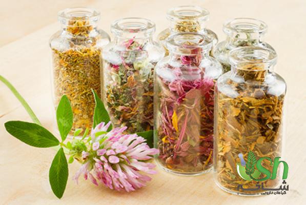 پخش عمده گیاهان دارویی کوهی در اراک با قیمتی استثنایی