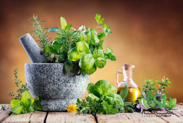 پارامتر های تاثیر گذار بر قیمت گیاهان دارویی درجه یک