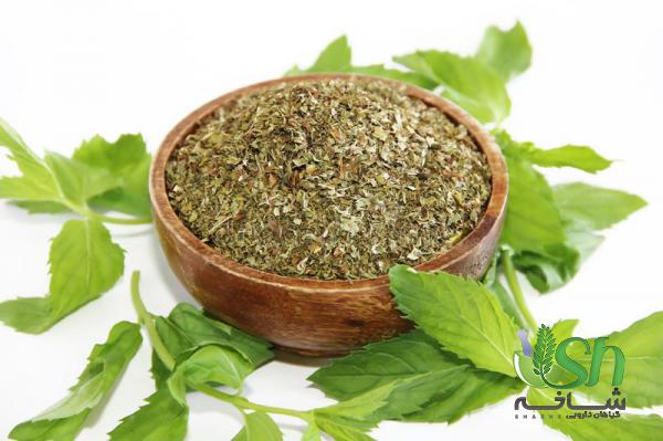 روش تشخیص بهترین نوع نعناع خشک